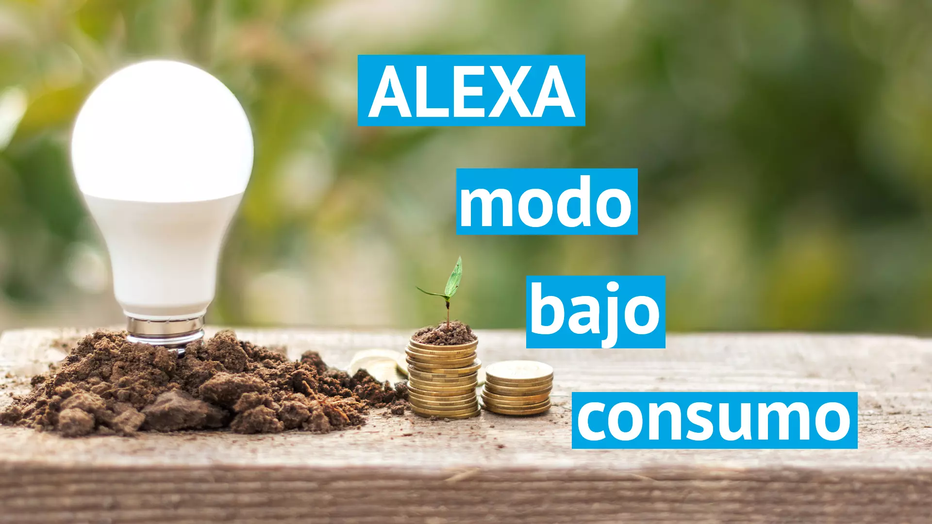 Ya puedes activar el modo bajo consumo de Alexa